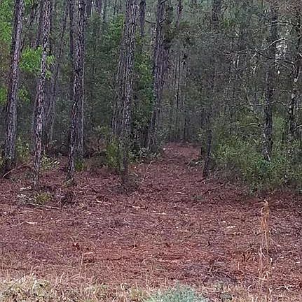 4th image of 10550 Allison Ave