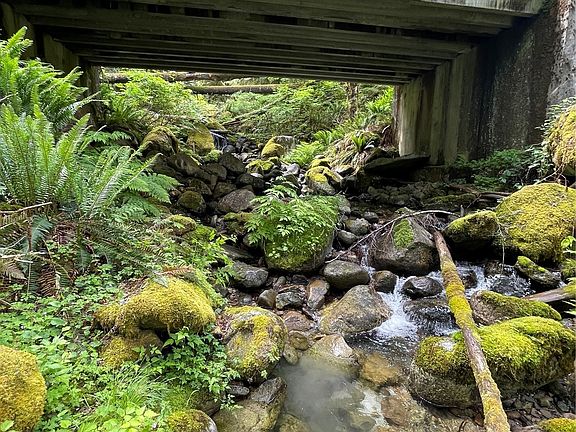 4th image of 0 XX Anthracite Creek Road