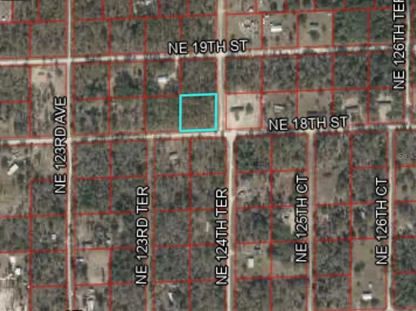 12400 18TH STREET NE LOT 8, WILLISTON, FL 32696