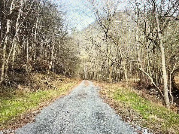 9865 Martin Creek Rd, Bloomington Springs, TN 38545