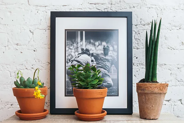 Rented by Nooklyn NYC LLC | media 30