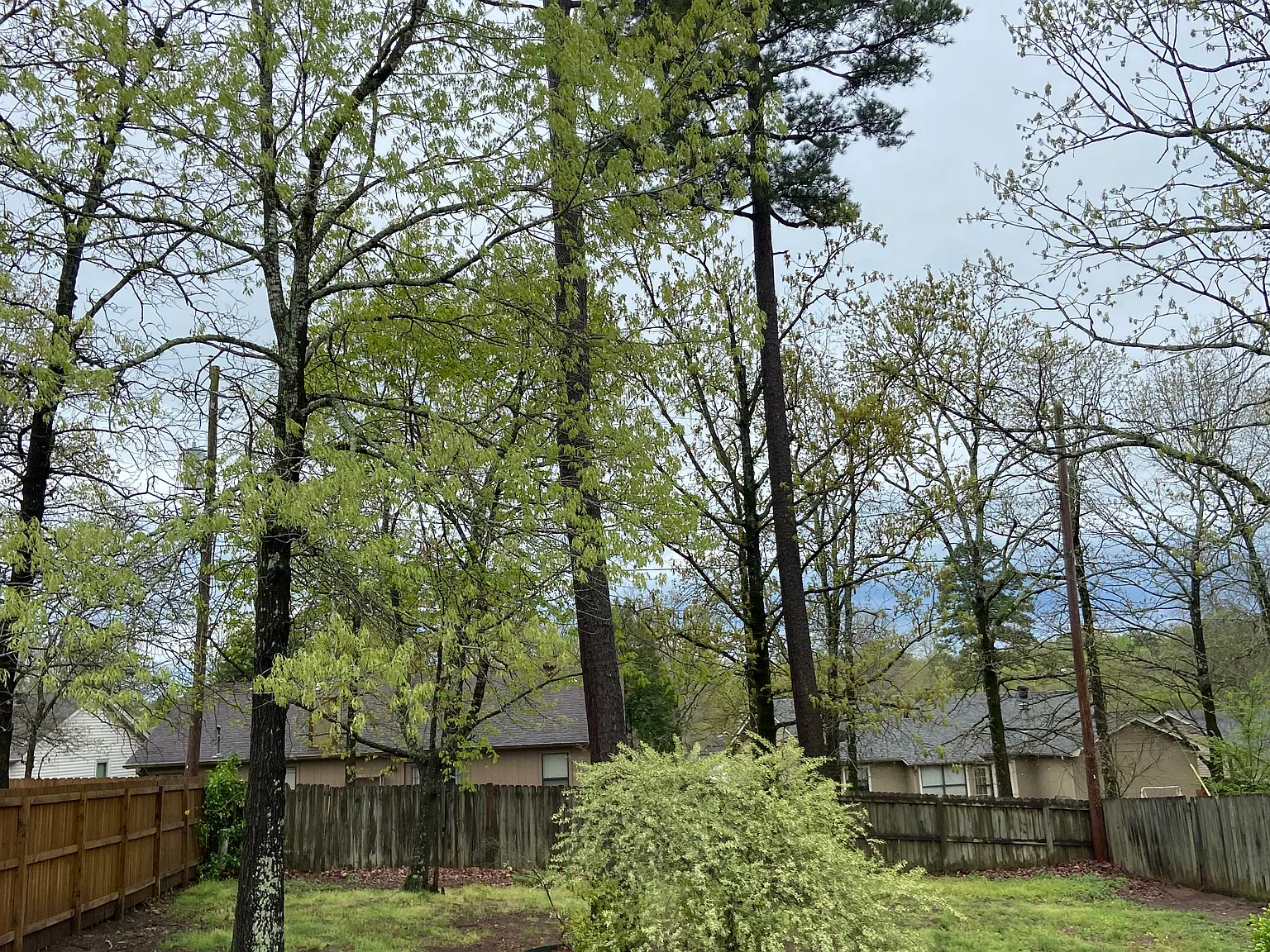1500 Calgary Cove — Photo 2