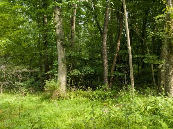 0 Taylor Rd, Confluence, PA 15424