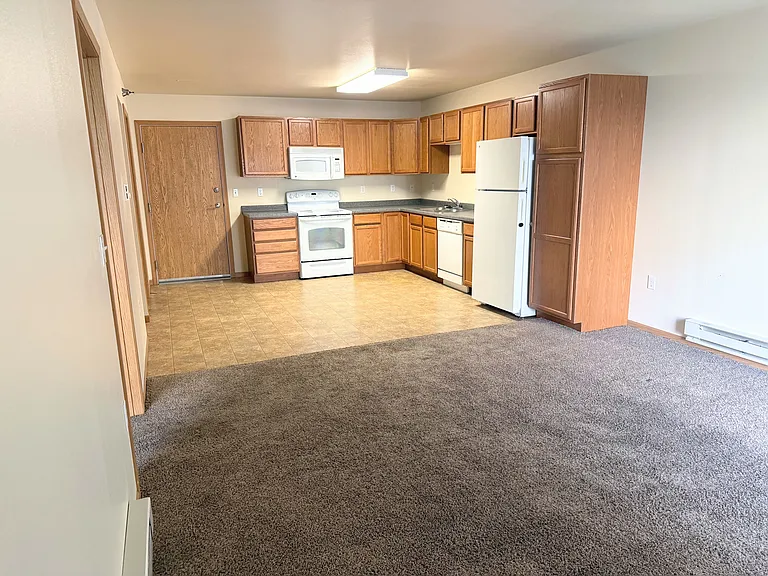 Branson Development — Photo 13