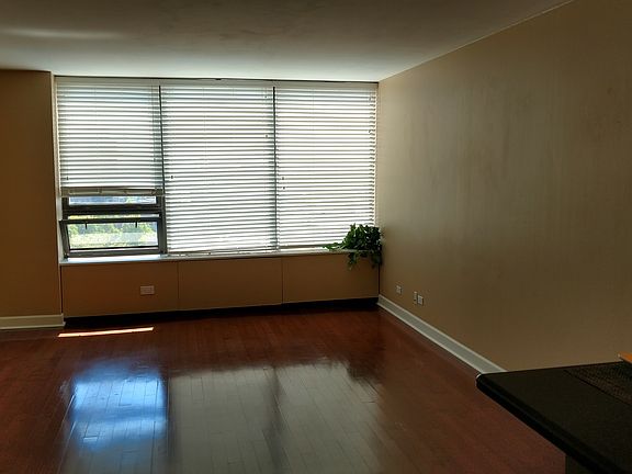 5th image of 3930 N Pine Grove Ave APT 1110