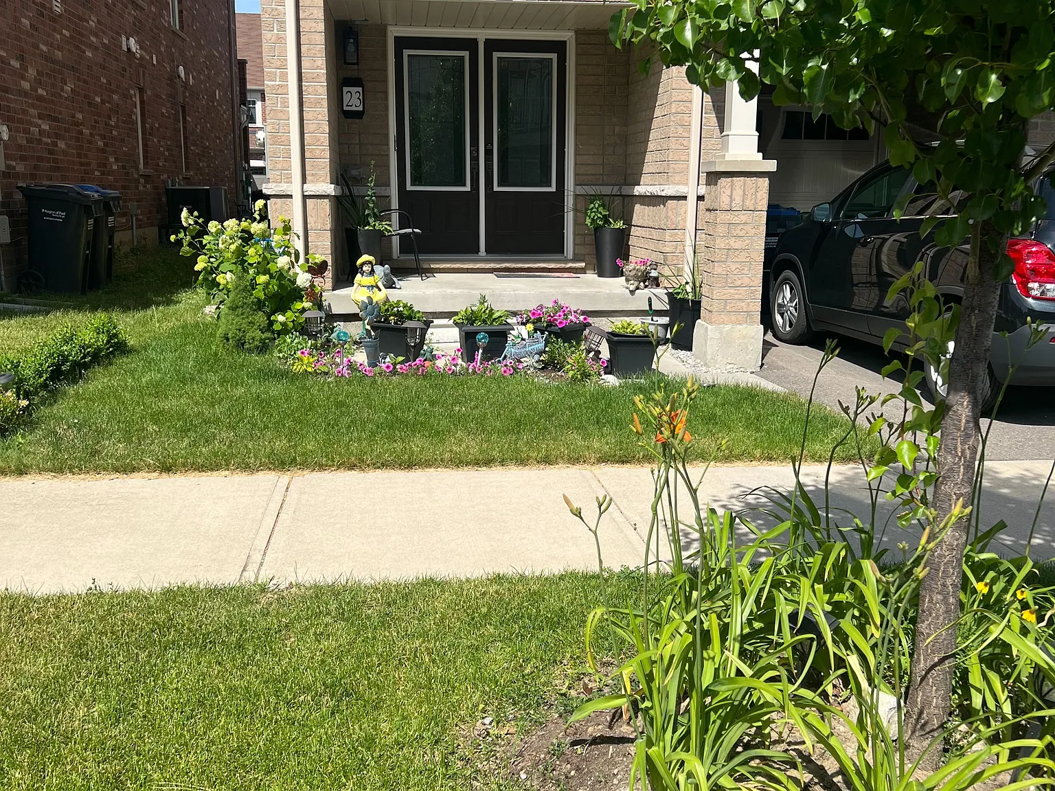 2 bed, $1,000 — Photo 1