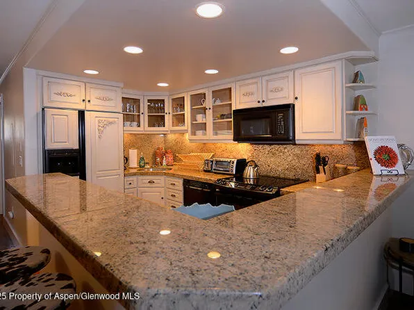 800 E Hopkins Ave APT A1, Aspen, CO 81611