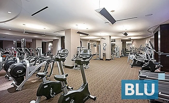 Rented by BLU Real Estate | media 37