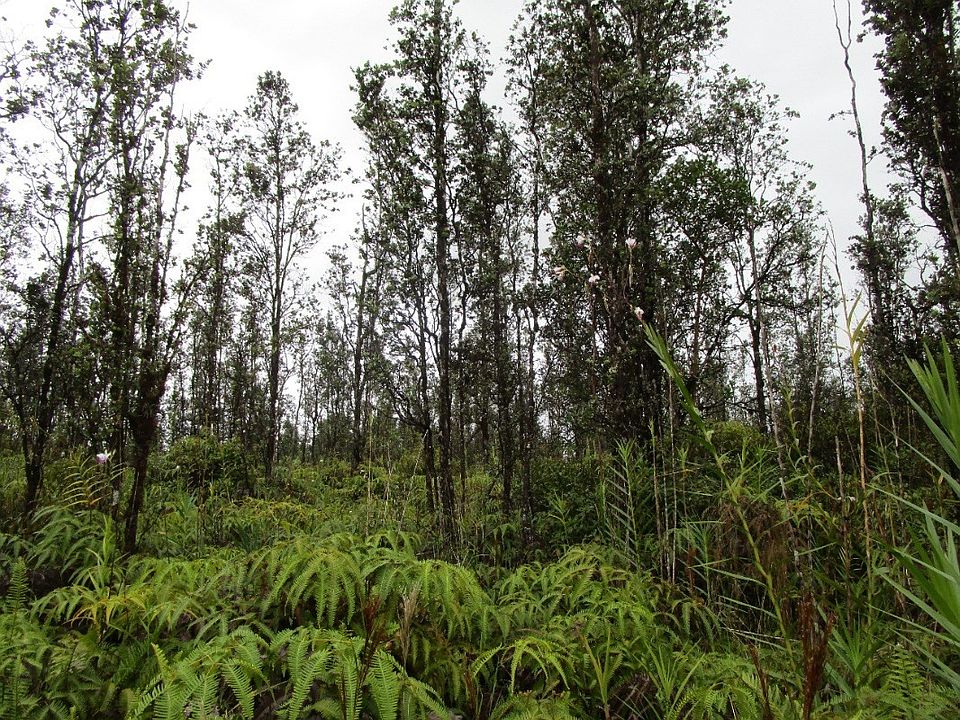 2nd image of Ooaa Road Rd #6-lot 4236
