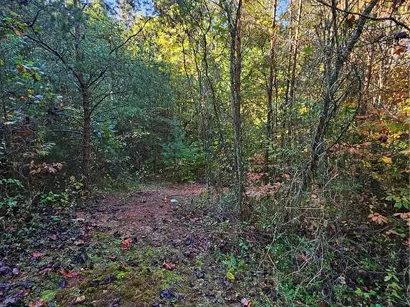 21 Brooklin St, Wilkesboro, NC 28697