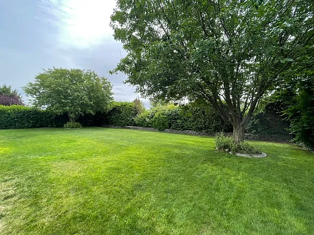 14901 Eagle Dr — Photo 18