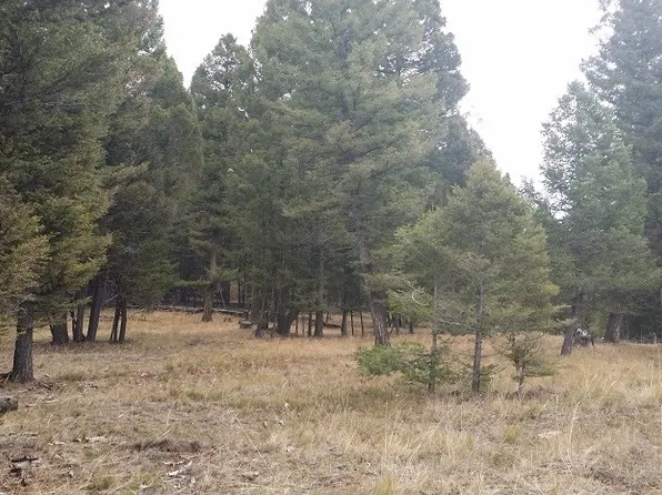 LOT 83 Hoover Creek Rd, Helmville, MT 59843
