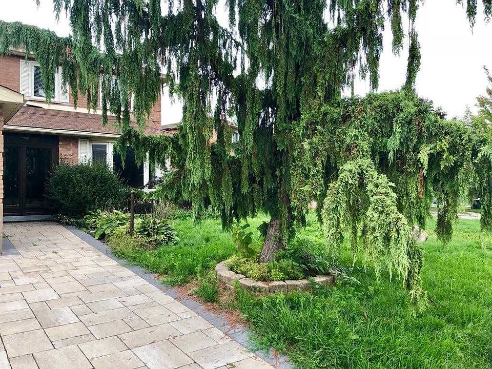 2nd image of 366 Waratah Ave