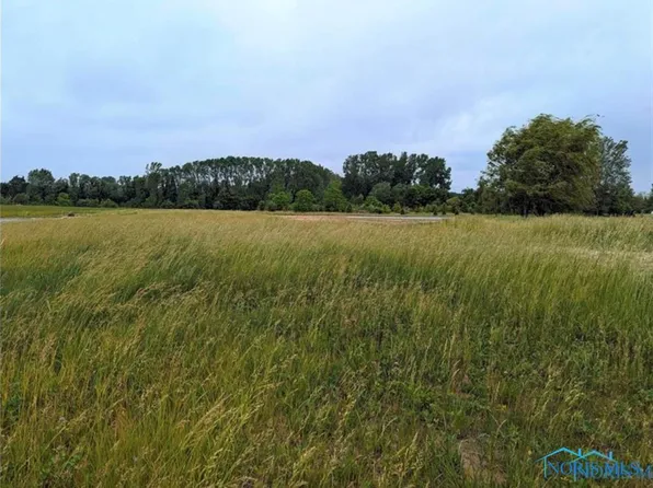 LOT Thirty Savannah Lake Blvd, Whitehouse, OH 43571