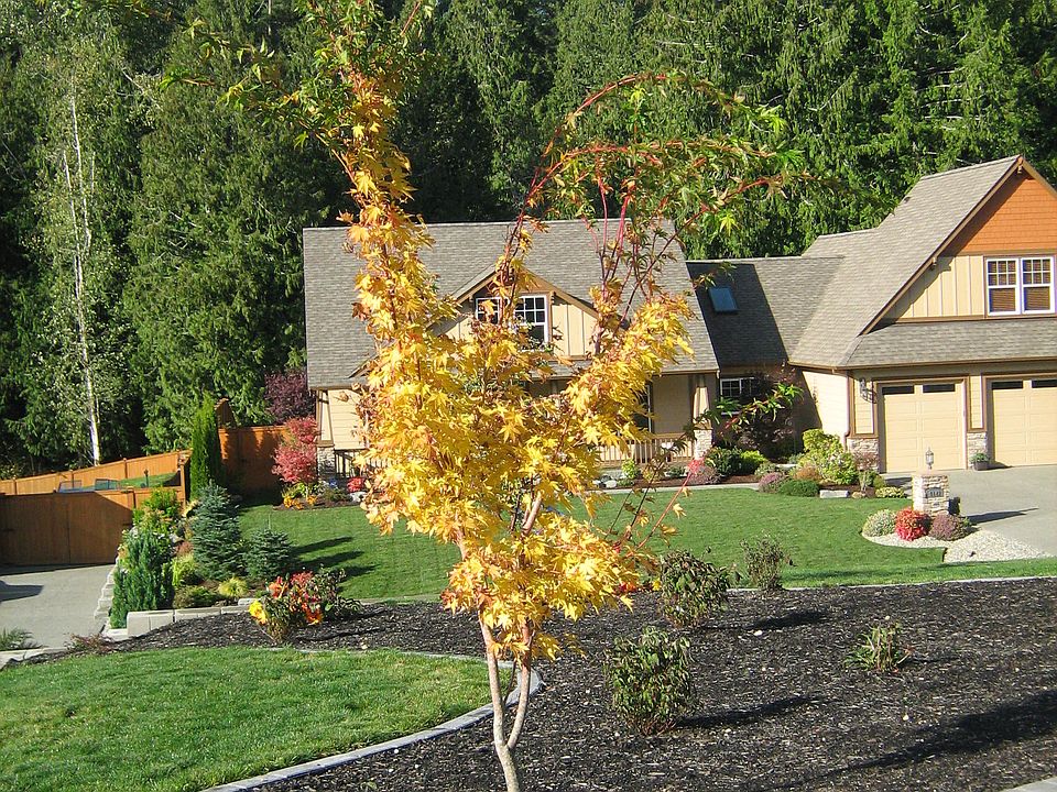 2nd image of 9143 Fox Ridge Ln SE