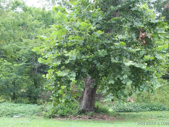 LOT One Pinkie Ln #B, Sunrise Beach, MO 65079