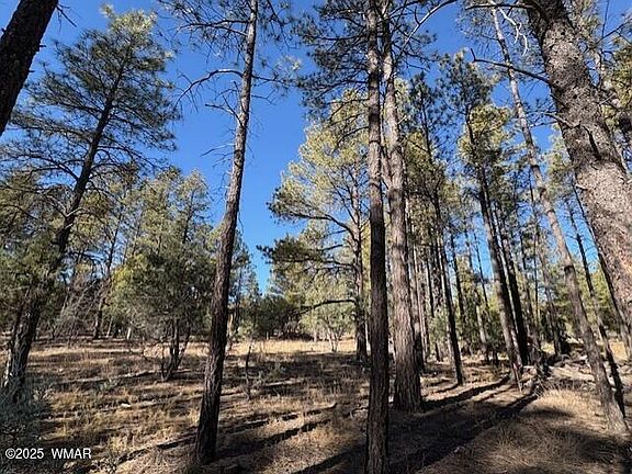 5th image of 3270 W Black Oak Loop