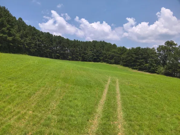 0 County Road 101 Tract #3, Crane Hill, AL 35053