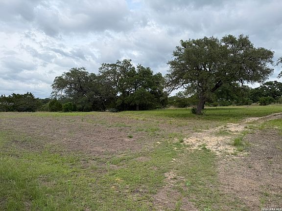 3rd image of 1132 Palomino LOT 140