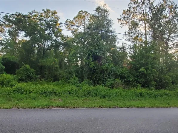 3451 Riverdale Dr, Dade City, FL 33523
