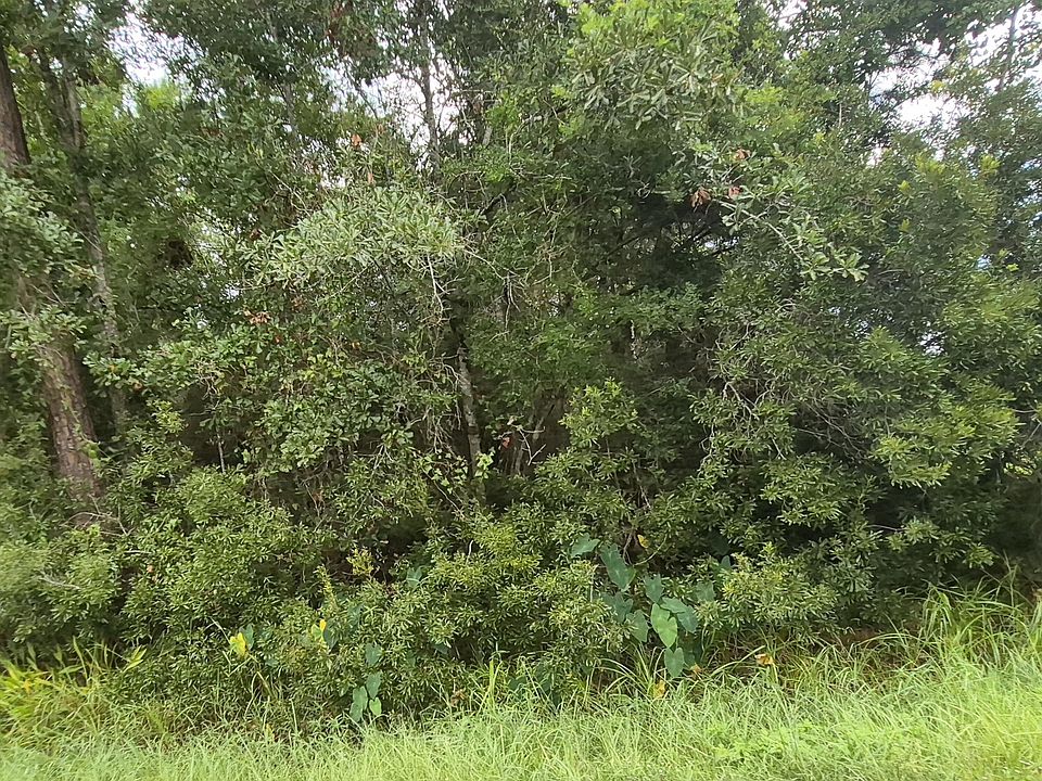 1st image of Kiln Waveland Cutoff Rd Lot 10