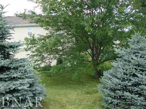 4th image of 2917 Clearwater Ave