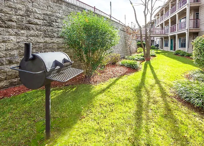 2 bed, 850 sqft, $1,100 — Photo 2