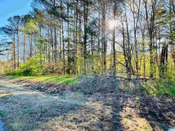 0 State Highway 75, Remlap, AL 35133