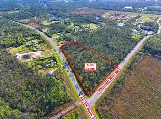 County Road 386 N, Wewahitchka, FL 32465