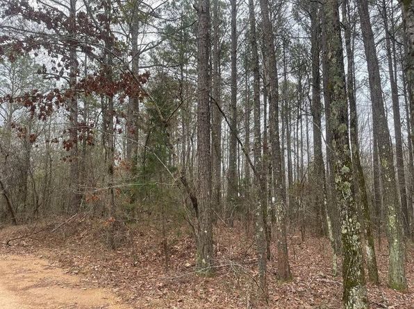 0 Siloam Rd, Winfield, AL 35594