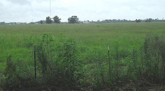 4th image of 18130 Highway 105