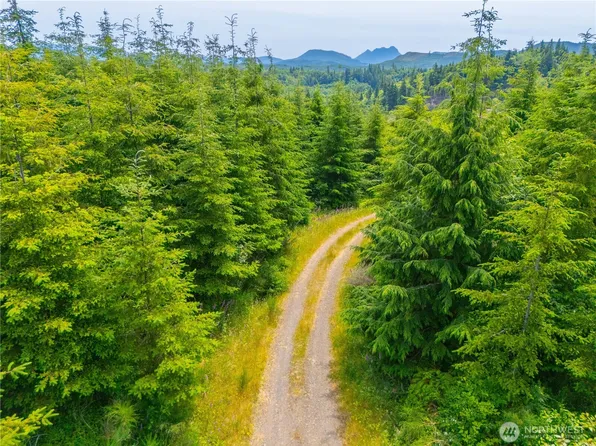 0 Mudd Lane, Astoria, OR 97103