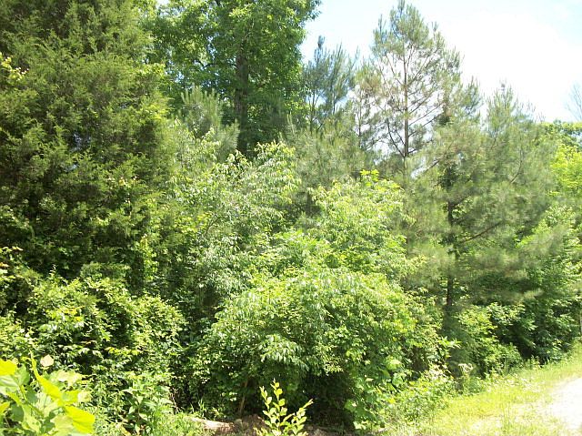 1st image of 348 Bethel Farm Ln