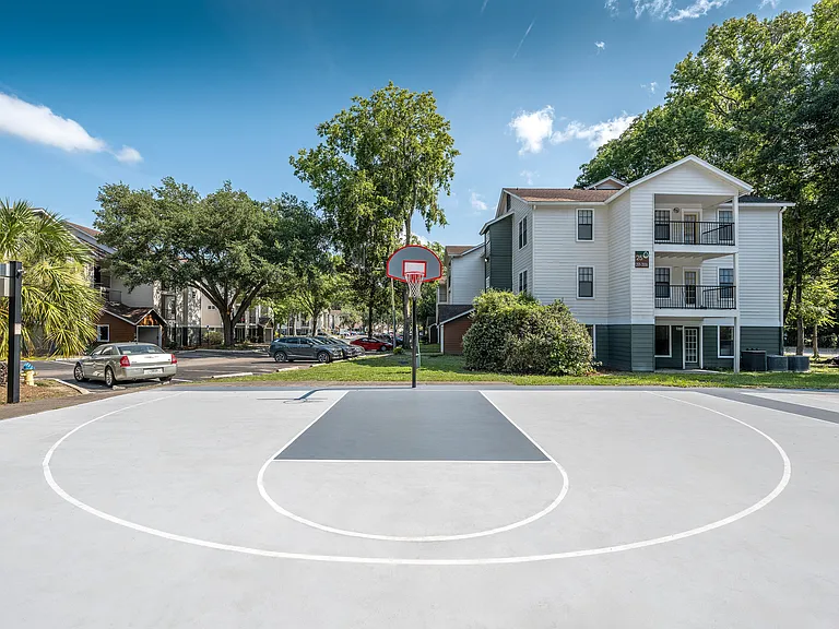 Forest View Apartments — Photo 5