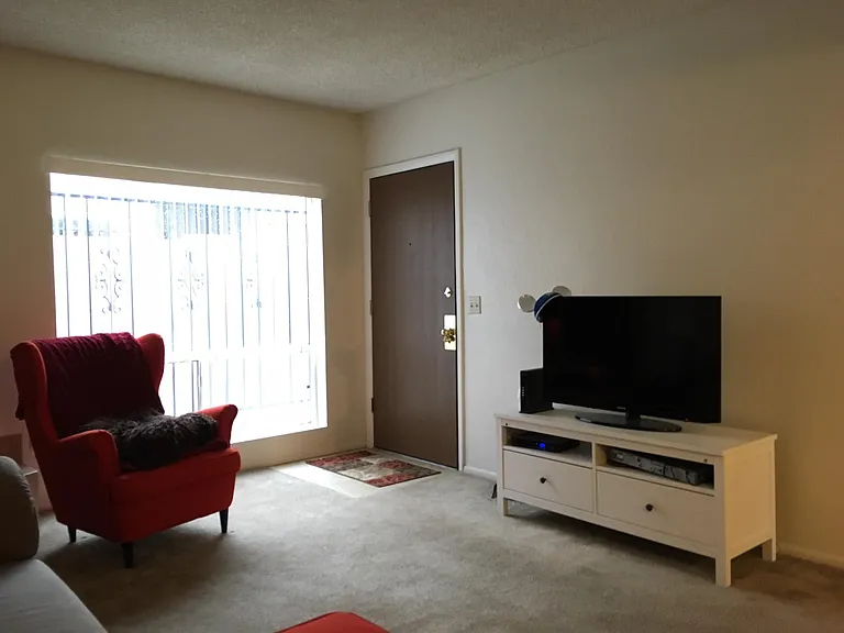 702 E Linden St — Photo 6