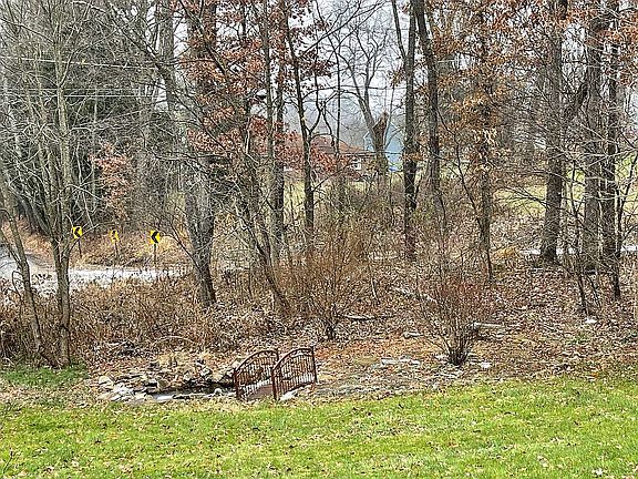 Pond and Rock Garden