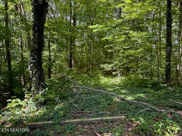 Bates Gibson Rd, Sevierville, TN 37876