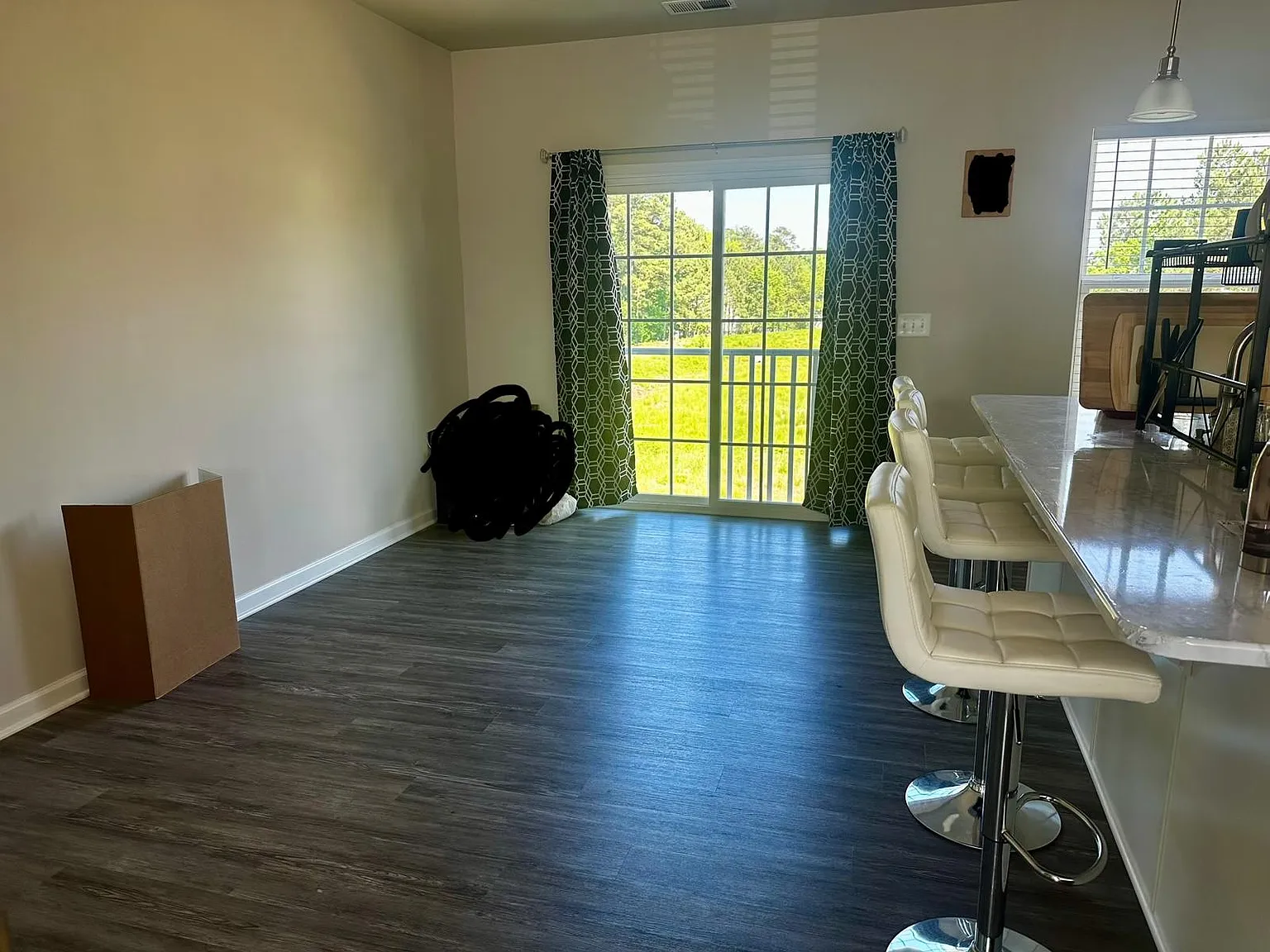 8750 Red Canyon Way — Photo 4