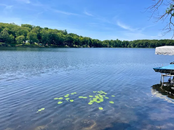 8771 Chain O Lakes Dr, Delton, MI 49046