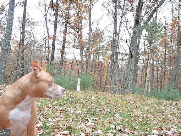 30th image of this home