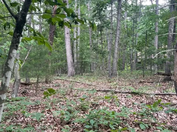 Pin Oak Rd, Mount Jackson, VA 22842