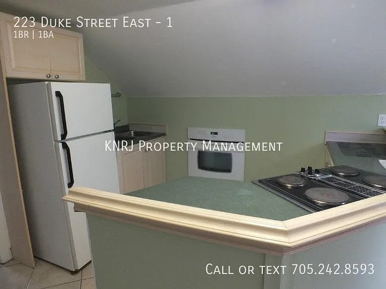 223 Duke St E #1 — Photo 9