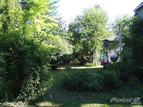 Side Yard with Shed to the Right