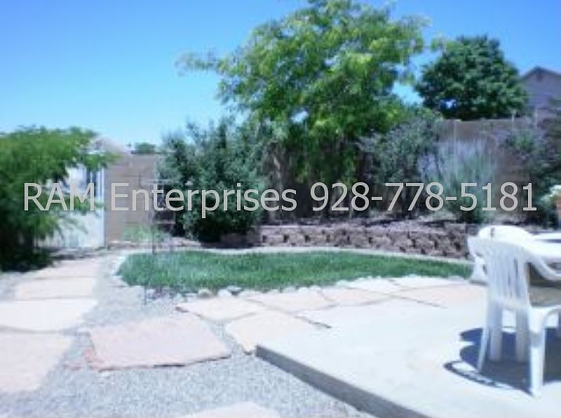 Back yard