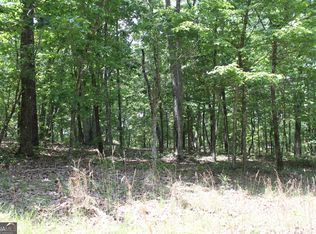 117 Wolfden Branch Rd, Warm Springs, GA 31830