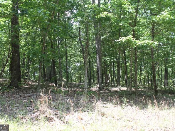 117 Wolfden Branch Rd, Warm Springs, GA 31830