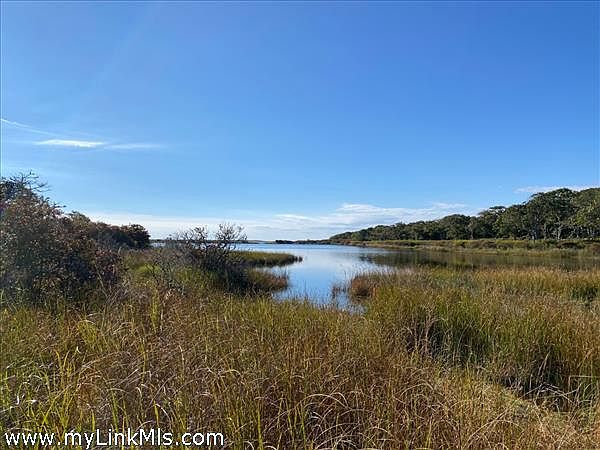 View of pond from shoreline