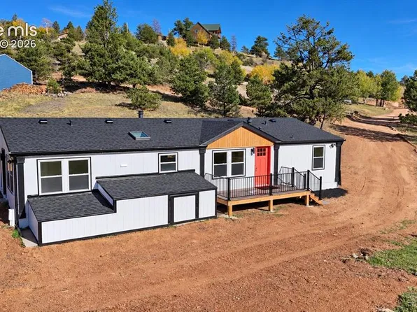 131 Dillon Ln, Florissant, CO 80816