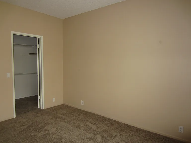 Downstairs bedroom with wak-in closet