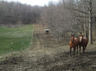 8190 Guernsey Lake Rd, Delton, MI 49046